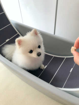최스타님이 올린 리뷰 사진 1