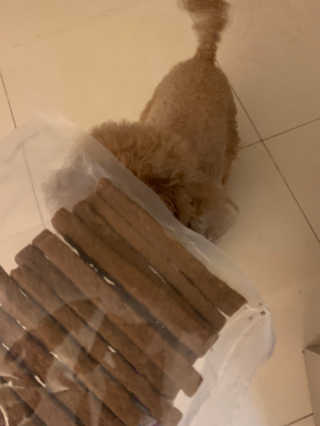 My Pet Care 천연단백질 치아건강에 개좋아 — 5점을 준 리뷰어가 2020년 11월 올린 사용 사진