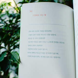 2019yaap님이 올린 리뷰 사진 2
