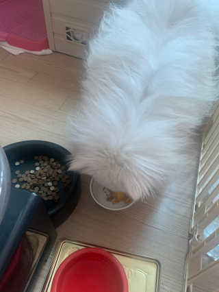 뿌잉님이 올린 리뷰 사진 3
