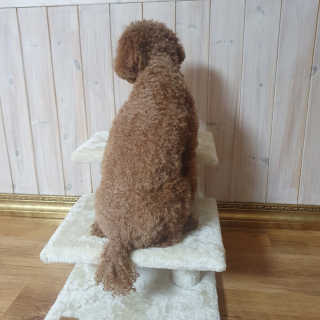 콩콩이님이 올린 리뷰 사진 1