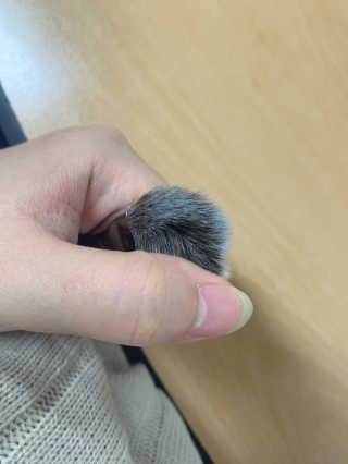 바이미르님이 올린 리뷰 사진 3
