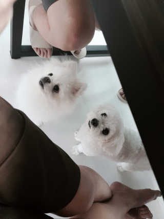황선아님이 올린 리뷰 사진 3