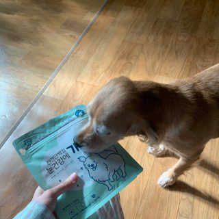 My Pet Care 천연단백질 눈건강에 개좋아 — 4점을 준 리뷰어가 2020년 11월 올린 사용 사진