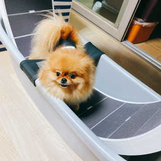 현둥잉님이 올린 리뷰 사진 1