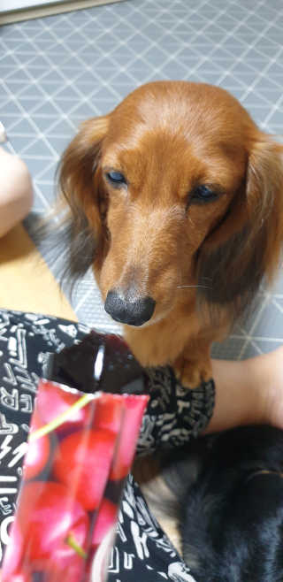 WooKyoungKim님이 올린 리뷰 사진 4