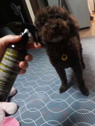 깨비님이 올린 리뷰 사진 2