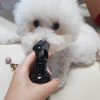 ❤꼬네우니🧡님이 올린 리뷰 사진 2
