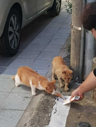 윤봉님이 올린 리뷰 사진 2