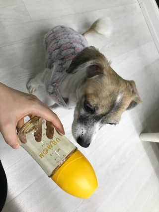유비맘 PPSU 젖병 노꼭지_200ml_컬러 랜덤 발송 — 5점을 준 리뷰어가 2020년 4월 올린 사용 사진