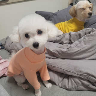 윤한솔님이 올린 리뷰 사진 3