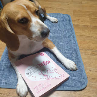 My Pet Care 천연단백질 관절건강에 개좋아 — 5점을 준 리뷰어가 2020년 11월 올린 사용 사진