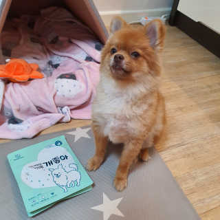 My Pet Care 천연단백질 눈건강에 개좋아 — 5점을 준 리뷰어가 2020년 12월 올린 사용 사진