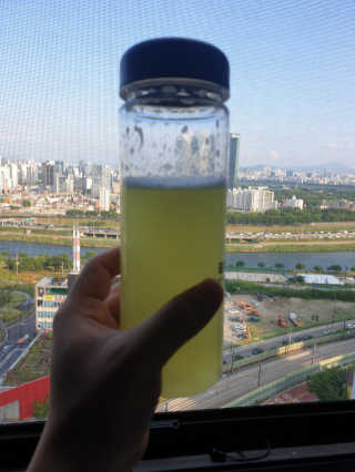 mj님이 올린 리뷰 사진 3