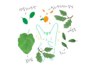 반달토끼님이 올린 리뷰 사진 3