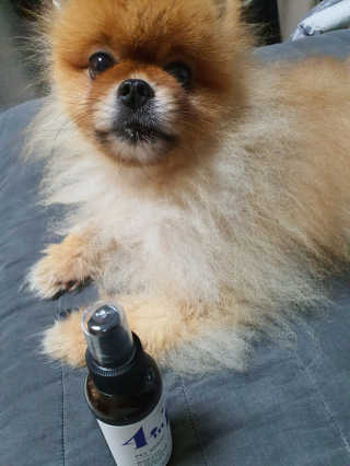 성유진님이 올린 리뷰 사진 3