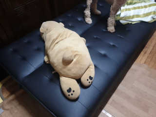란아님이 올린 리뷰 사진 4