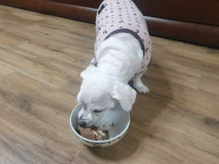 진진이님이 올린 리뷰 사진 4