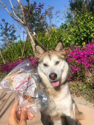하시모님이 올린 리뷰 사진 1
