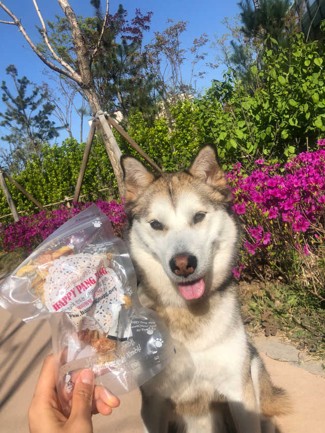오리북어말이+닭북어말이 [보양식2종] 리뷰 사진