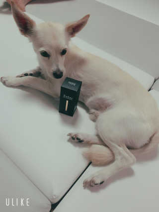 EunhyeCho님이 올린 리뷰 사진 3