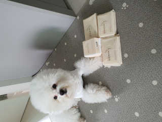 hyun♡님이 올린 리뷰 사진 2