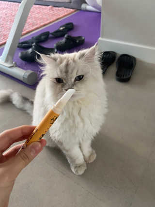 곽재련님이 올린 리뷰 사진 4
