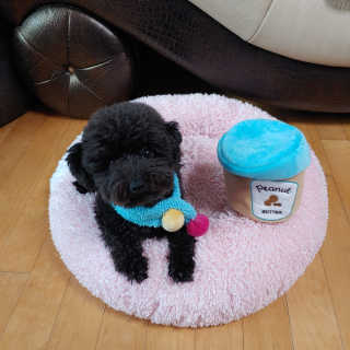 apple님이 올린 리뷰 사진 1