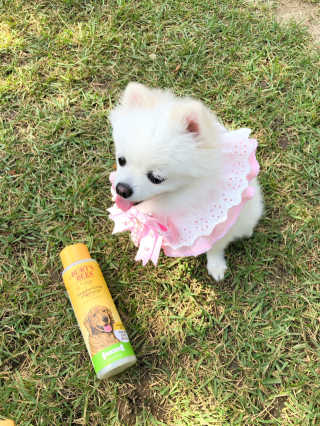 최스타님이 올린 리뷰 사진 2