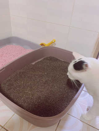 다니님이 올린 리뷰 사진 4
