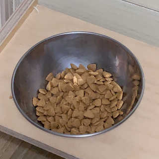 례진님이 올린 리뷰 사진 1
