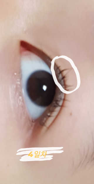 헬로키티님이 올린 리뷰 사진 4