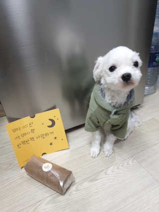 박미진님이 올린 리뷰 사진 3