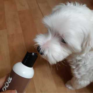 USANA전경미님이 올린 리뷰 사진 2