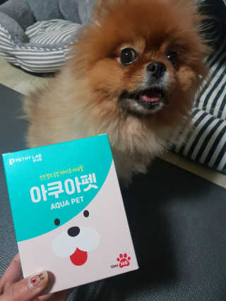 펫시랩 반려견용 액상 프리바이오틱스 아쿠아펫 — 5점을 준 리뷰어가 2020년 12월 올린 사용 사진
