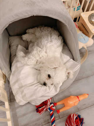 큐티윤님이 올린 리뷰 사진 4
