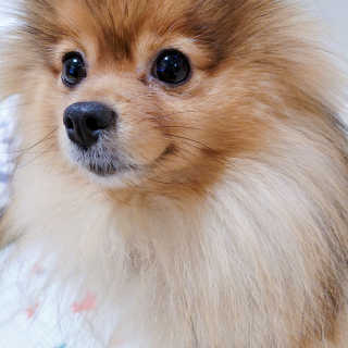 은선이짱님이 올린 리뷰 사진 3