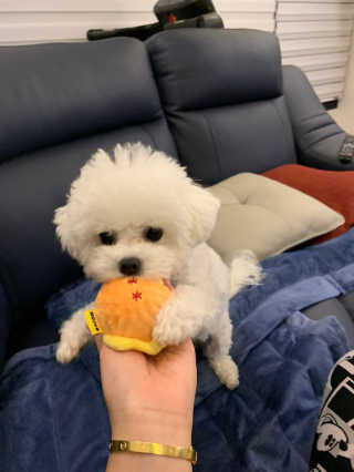 큐티윤님이 올린 리뷰 사진 3