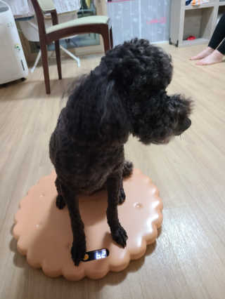 초코에몽님이 올린 리뷰 사진 3