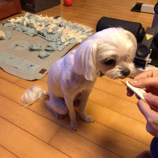 빼곰님이 올린 리뷰 사진 4