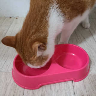 bemarie님이 올린 리뷰 사진 3