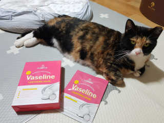 리더스코스메틱 리더스 라이트 바세린 마스크 4종 — 5점을 준 리뷰어가 2020년 8월 올린 사용 사진
