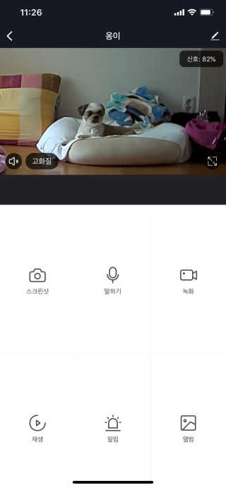 헤이홈 스마트 홈카메라 + 헤이베어 캐릭터커버 — 5점을 준 리뷰어가 2020년 5월 올린 사용 사진