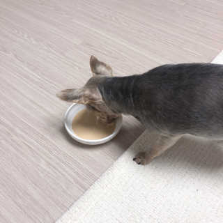꾸준히님이 올린 리뷰 사진 4