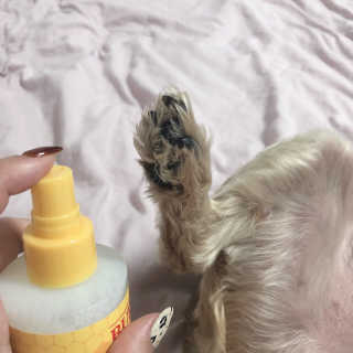 지니지나님이 올린 리뷰 사진 3