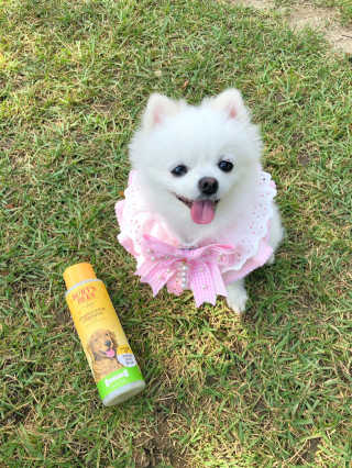 최스타님이 올린 리뷰 사진 3