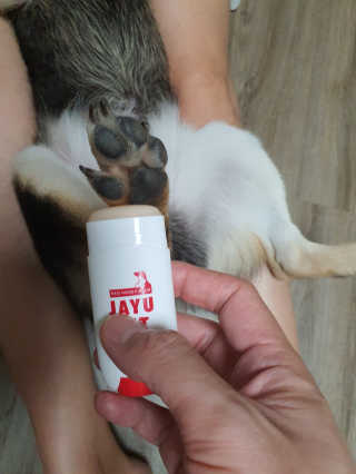 [레드허니밤]자유펫 고양이 강아지 발바닥 밤 14g — 4점을 준 리뷰어가 2020년 7월 올린 사용 사진