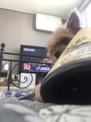 아라아빠님이 올린 리뷰 사진 4