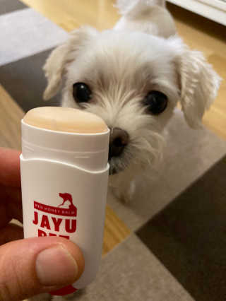 [레드허니밤]자유펫 고양이 강아지 발바닥 밤 14g — 4.5점을 준 리뷰어가 2020년 7월 올린 사용 사진