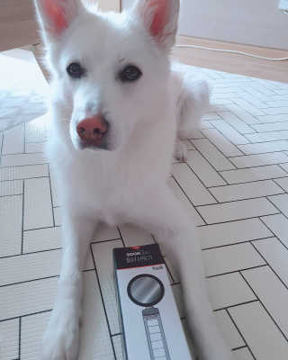 딸랑구둘🥰님이 올린 리뷰 사진 3